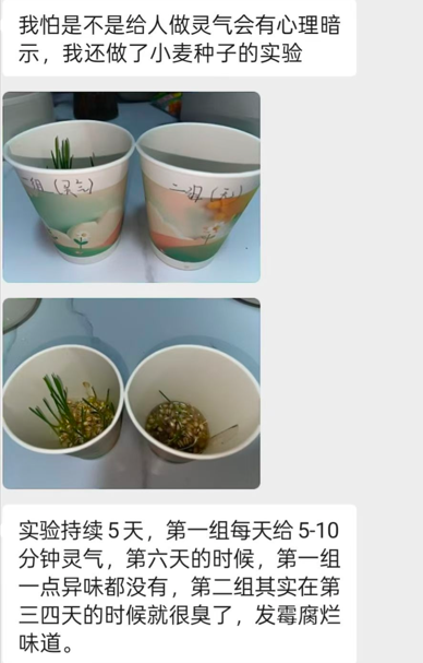 Messages from a Reiki student sharing her wheat seed experiment, with photos of both groups